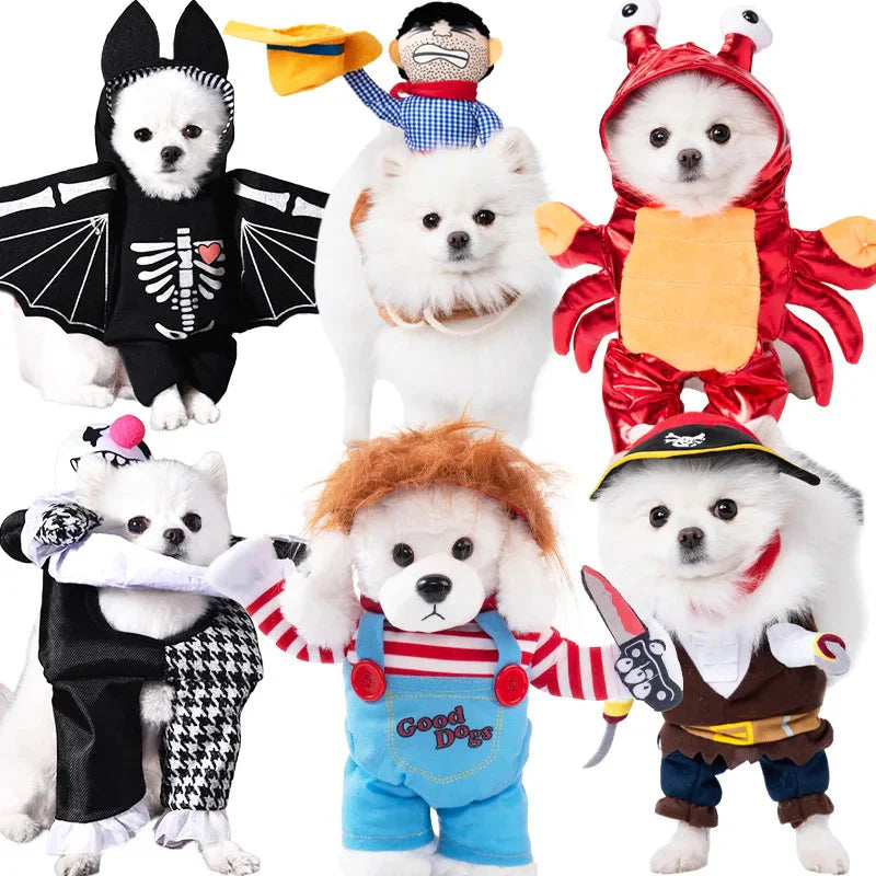 cute pet dress up Cute Summer Clothes for Dogs