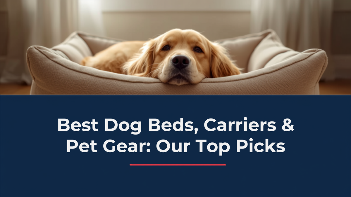 Golden retriever resting in a cozy dog bed - Best Dog Beds, Carriers & Pet Gear blog banner