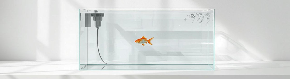 Small glass quarantine aquarium with a heater and a single goldfish on a white shelf