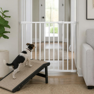 Pet Doors, Gates & Ramps