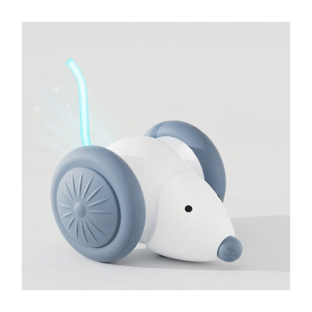 Pet Toys