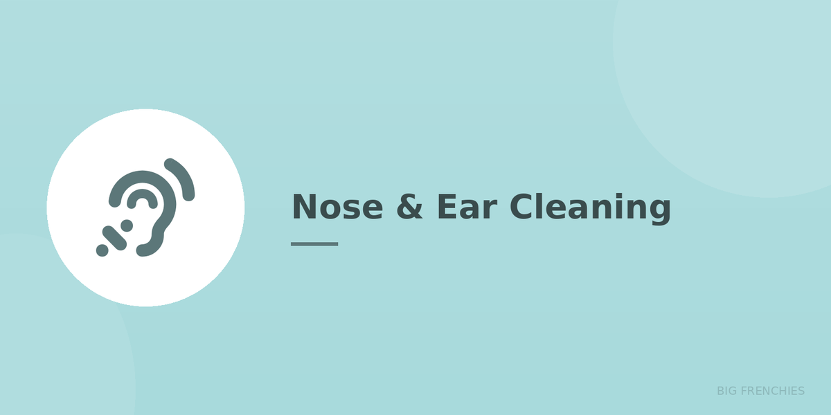 Baby & Toddler Nose & Ear Cleaning