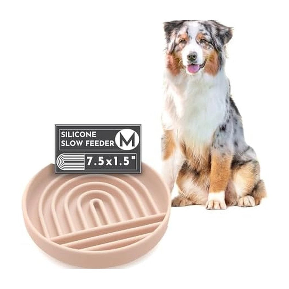 Pet Feeders & Waterers