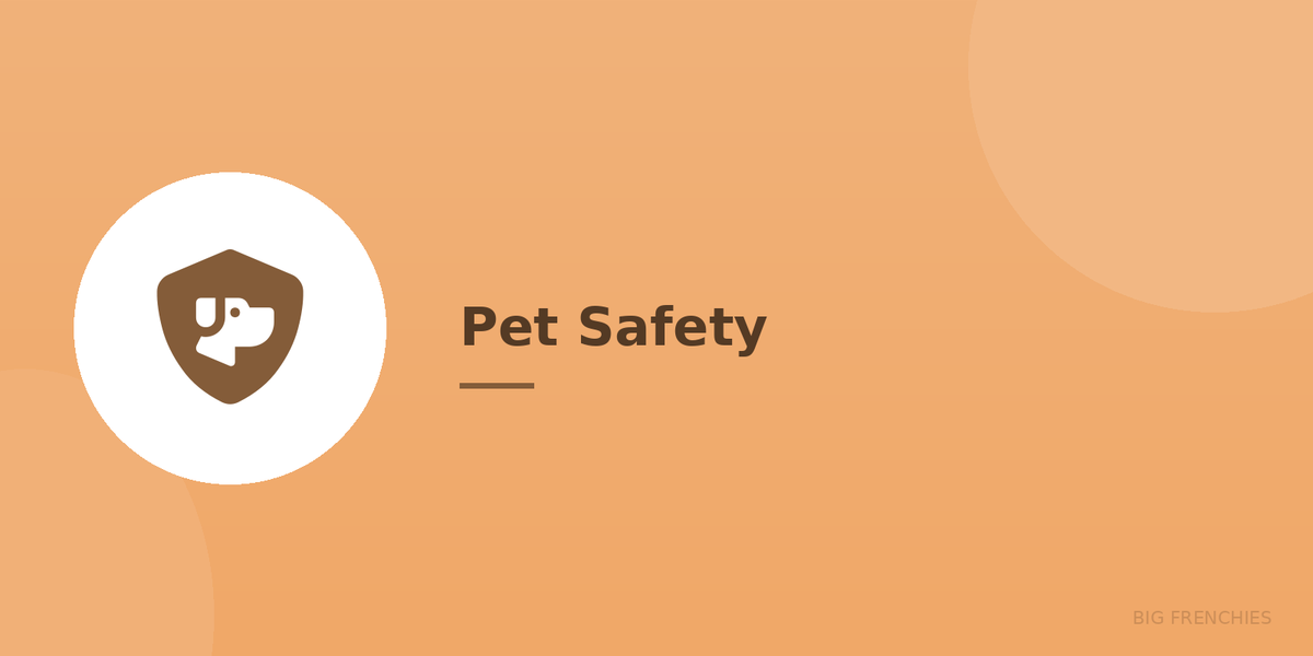 Pet Safety