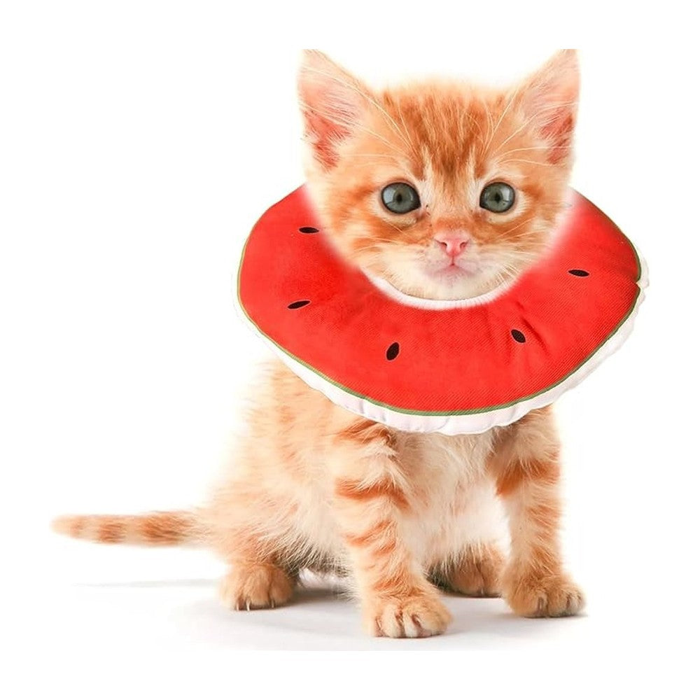 Pet Collars Under $40