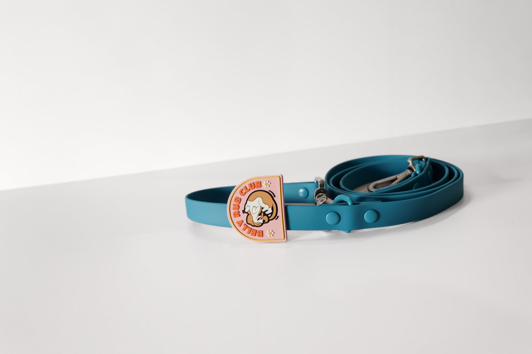 Collar & Leash Tabs