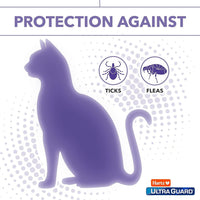 Protect Your Feline Friend with Hartz Ultraguard Flea & Tick Collar - Fresh Scented & Long-Lasting Protection for Cats & Kittens - BIG FRENCHIES