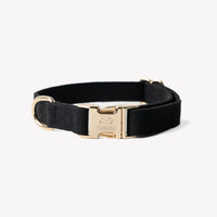 'Black' - Canvas Dog Collar
