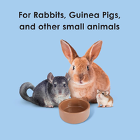Ceramic Pet Hamster Bowl, Brown