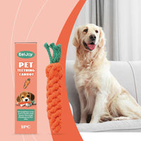 EELJOY Carrot-Shaped Pet Chew Toy, 1 Piece