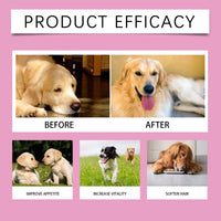 Dog Pre & Probiotic Digestive Care Tablets, Gut Health Supplement For Dogs, Supports Digestion, Immunity, Skin & Vision 
