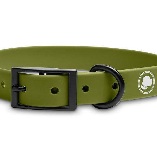 The Modern Dog Company - Olive Green Collar (Weather + Odor Resistant) - BIG FRENCHIES
