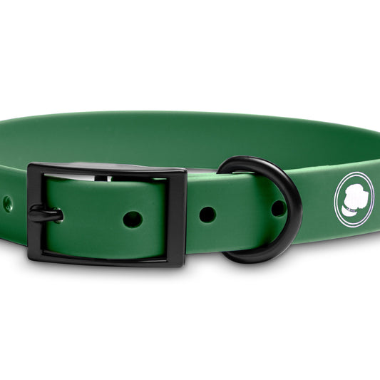 The Modern Dog Company - Clover Green Collar (Weather + Odor Resistant) - BIG FRENCHIES