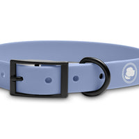 The Modern Dog Company - Lavender Purple Collar (Weather + Odor Resistant) - BIG FRENCHIES