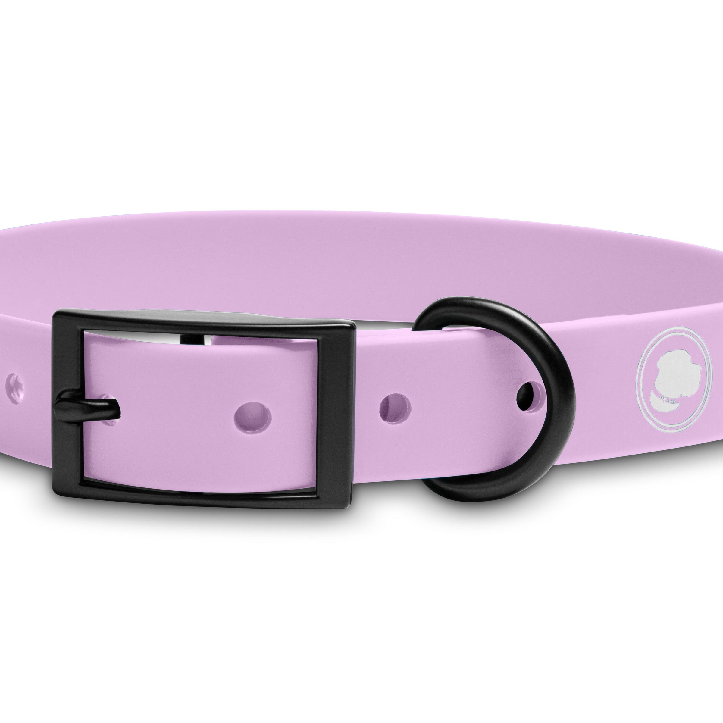 The Modern Dog Company - Blush Pink Collar (Weather + Odor Resistant) - BIG FRENCHIES