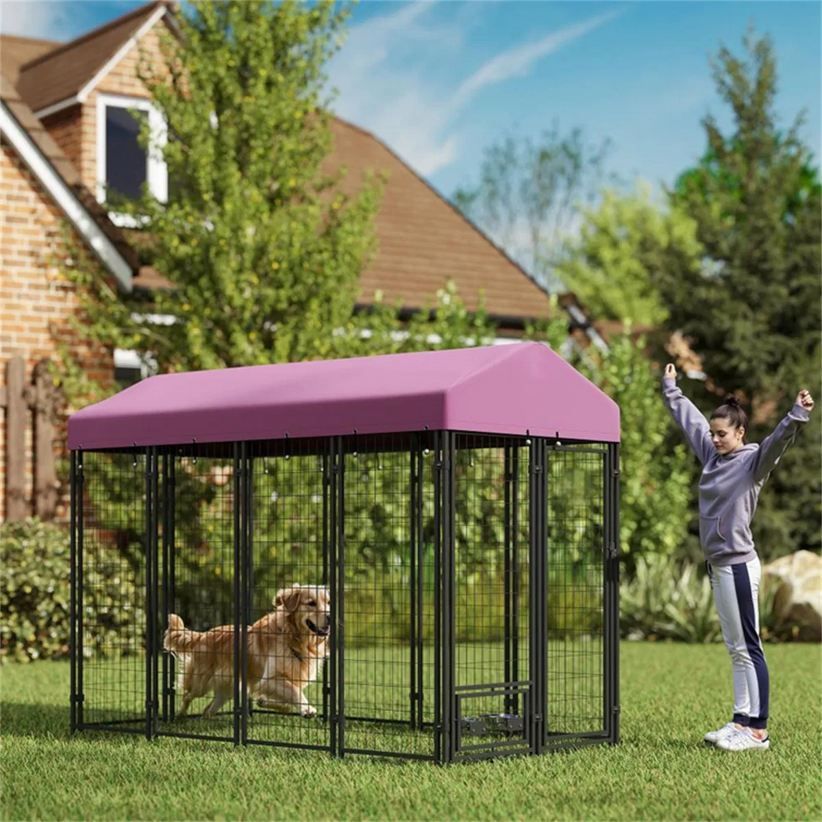 Dog Crate, Dog Cage, Dog Kennel