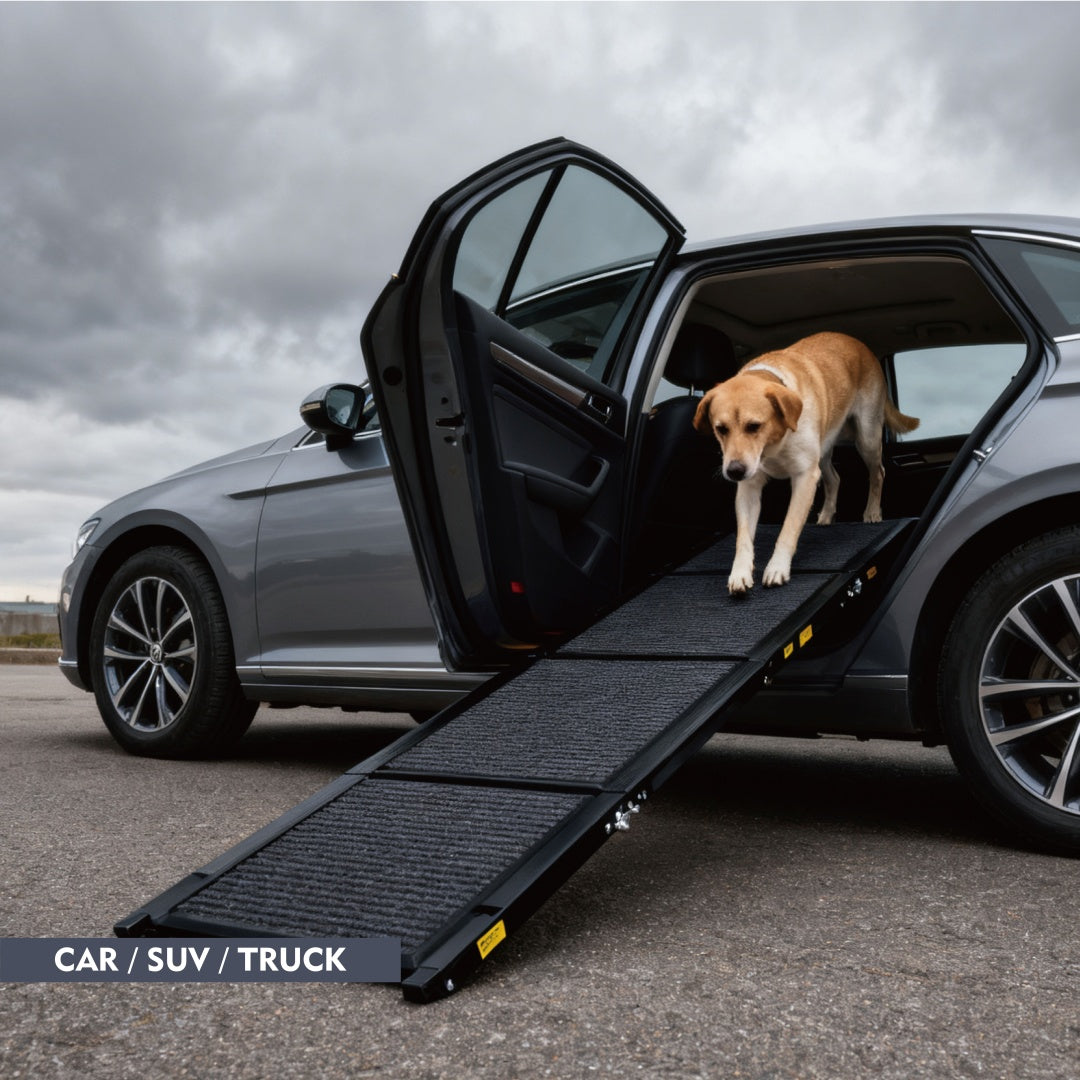 Dog Ramp For Car 71 Long & 19.3 Wide Portable Dog Ramps For Large Dogs With Non-Slip Rug Surface Dog Car Ramp For SUV Ca