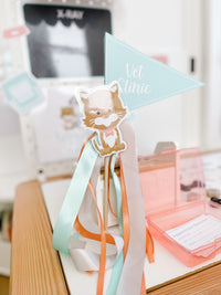 Vet Clinic Dramatic Play