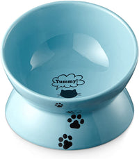 Elevated Cat Food Bowl, Ceramic Raised Cat Bowl, Tilt Angle Protect Cat'S Spine, anti Vomiting Cat Dish, Backflow Prevention, Lake Blue - BIG FRENCHIES