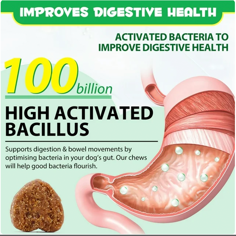 OEM Hot Sales Probiotics Chews For Pets Customized Shape For Digestive Health Pets Supplement Healthy Gut For Dogs