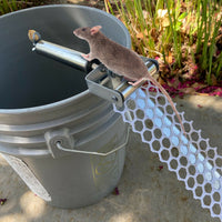Rolling Mouse Trap With 19.69in Mesh Ramp, Humane Galvanized Metal Rat Trap, Reusable Catch Multiple Mice, Easy To Clean
