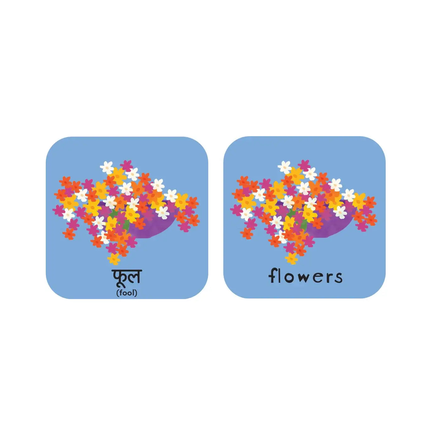 Minilingo Hindi/English Bilingual Flashcards