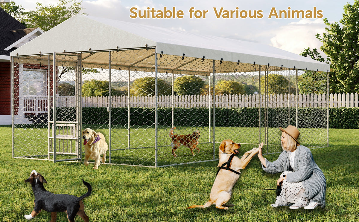 20x10 FT Large Outdoor Dog Kennel with Canopy, Heavy Duty Galvanized Steel Frame, Waterproof Cover, Built-in Elevated Fe