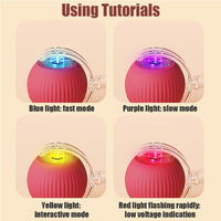 Interactive Rolling Cat Ball