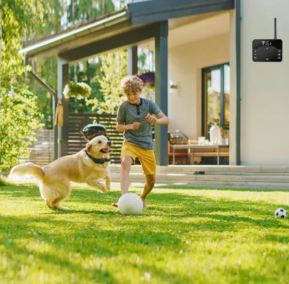 Wireless Electric Dog Fence Waterproof Pet Shock Boundary Containment System Electric Training Collar For Small Medium L