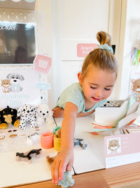 Vet Clinic Dramatic Play