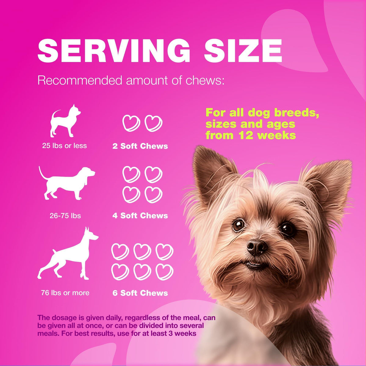 Dog UTI Treatment Cranberry Supplement Bladder & Kidney Health