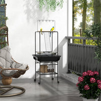Bird Stand /Parrot Perch