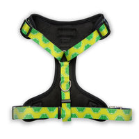 The Modern Dog Company - Retro Taco Tuesday Harness - BIG FRENCHIES
