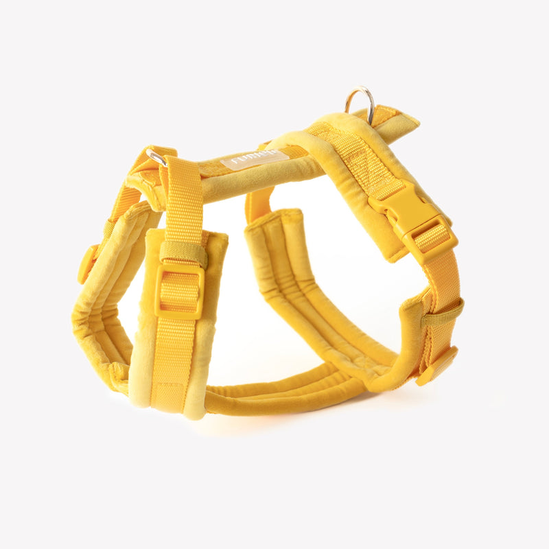 Yellow - Velvet Dog Harness-Velvet Harness-BIG FRENCHIES-FURLOU