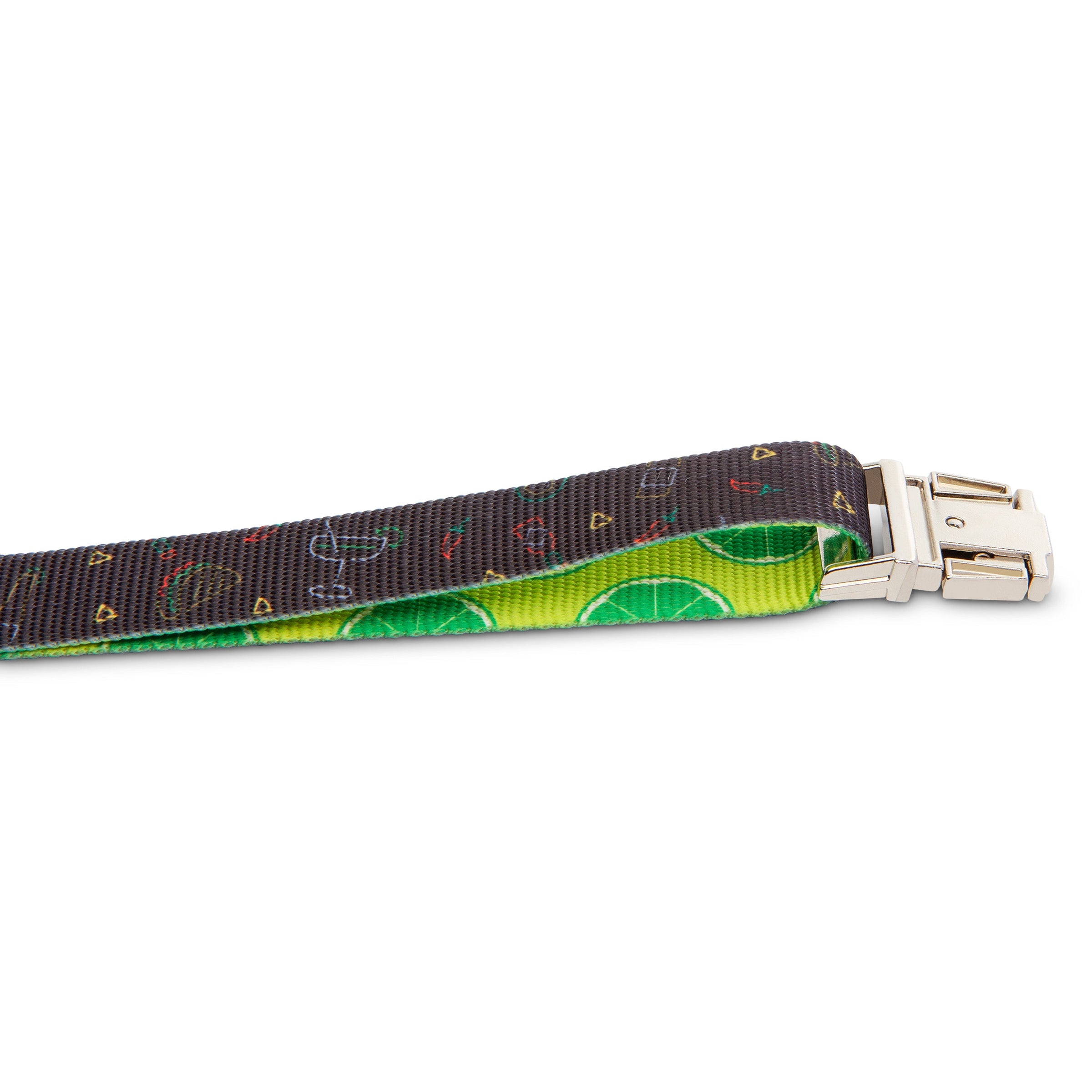 The Modern Dog Company - Retro Taco Tuesday Collar - BIG FRENCHIES