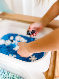 Arctic Polar Animals Printable Dramatic Play