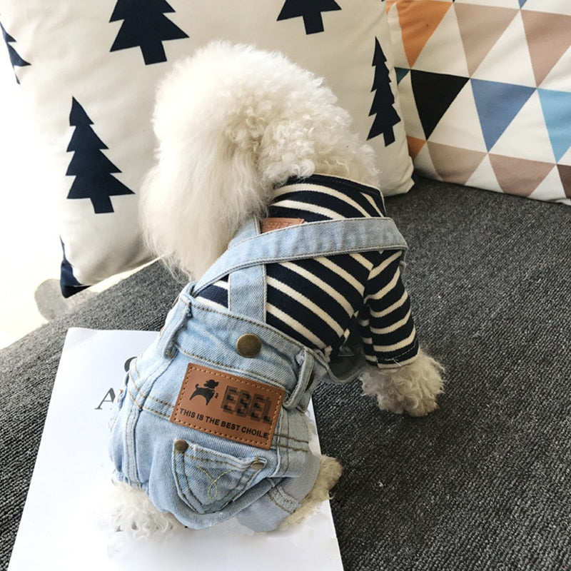 Denim Jumpsuit for Small Pets - BIG FRENCHIES