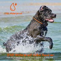 1Pc 984FT Dog Training Collar IP65 Waterproof Pet Beep Vibration Electric Shock Collar 3 Channels Rechargeable Transmitt