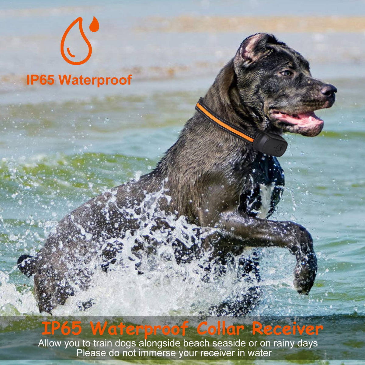 1Pc 984FT Dog Training Collar IP65 Waterproof Pet Beep Vibration Electric Shock Collar 3 Channels Rechargeable Transmitt