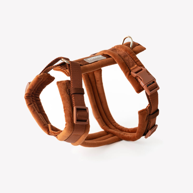 Clay - Velvet Dog Harness-Velvet Harness-BIG FRENCHIES-FURLOU