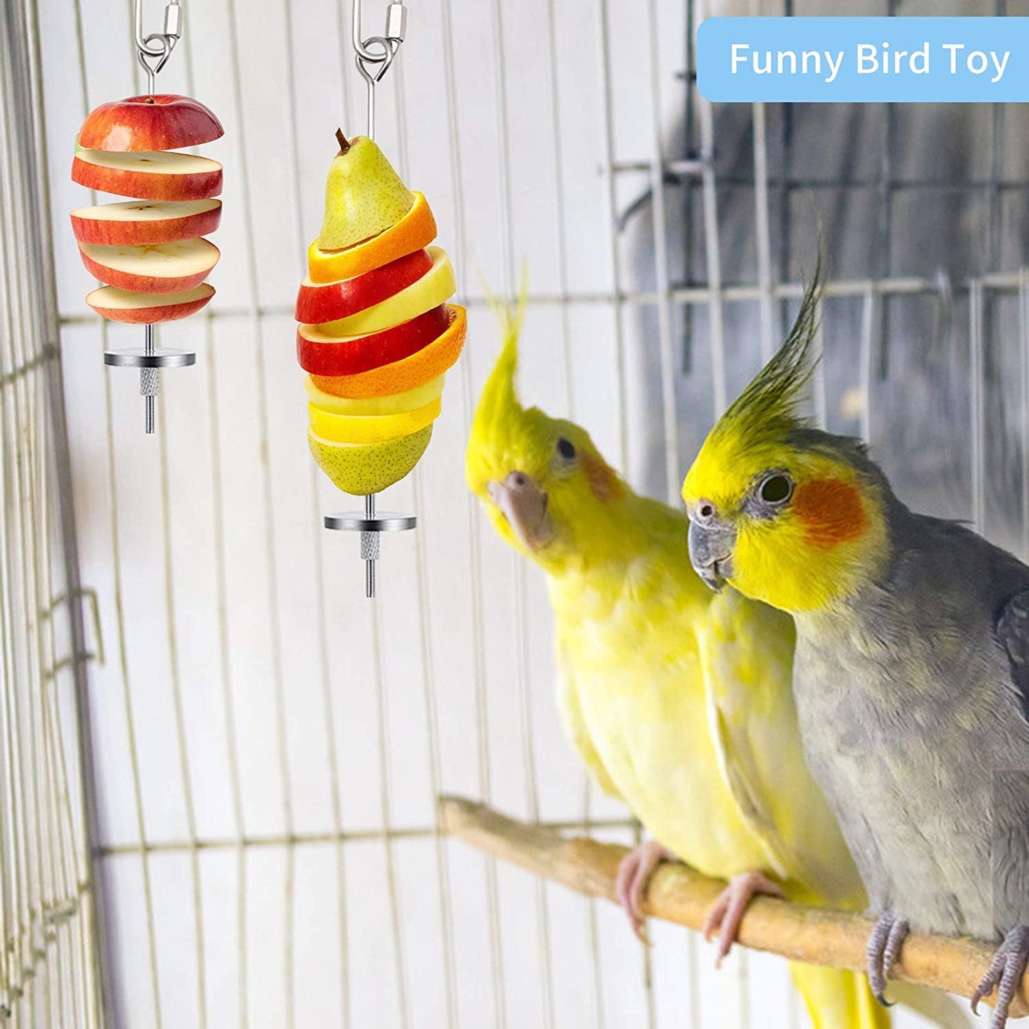 3Pcs Bird Food Holder - BIG FRENCHIES