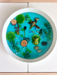Pond Life Cycle Sensory Kit And Water Play - BIG FRENCHIES