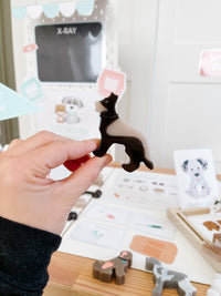 Vet Clinic Dramatic Play