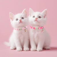 2 Pack Pink Cat Collars Spring Summer Breakaway Cat Collar With Bell, Bow And Flower Pendant, Adjustable Kitten Collars 