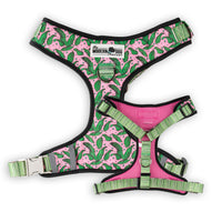 The Modern Dog Company - Pink Tropics Harness - BIG FRENCHIES