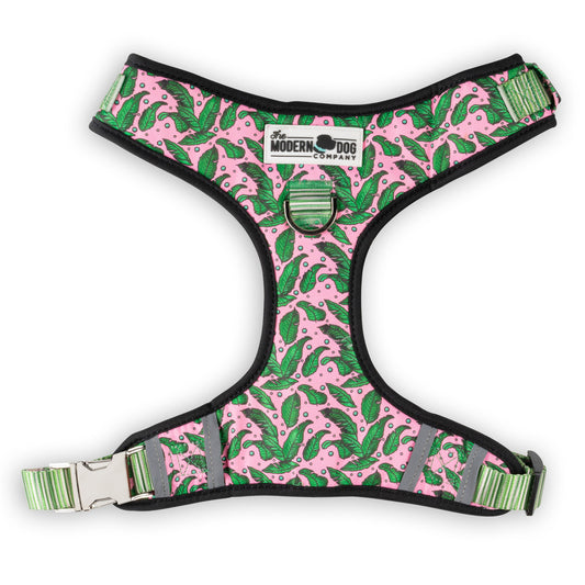 The Modern Dog Company - Pink Tropics Harness - BIG FRENCHIES