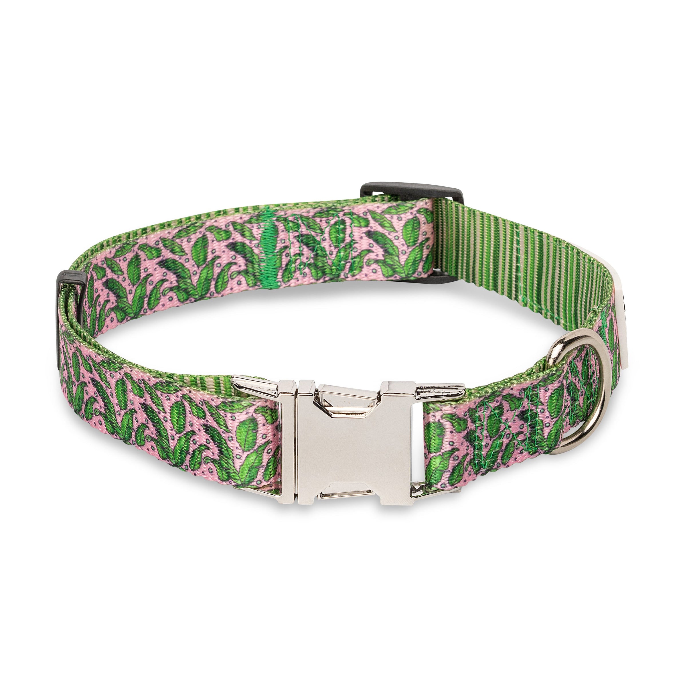 The Modern Dog Company - Pink Tropics Collar - BIG FRENCHIES