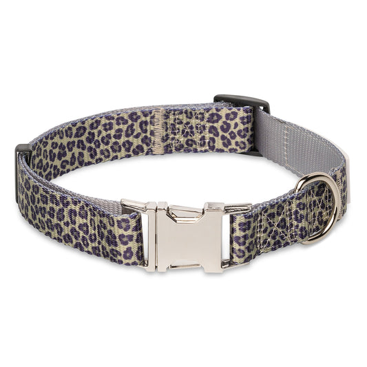 The Modern Dog Company - Walk on the Wild Side - BIG FRENCHIES