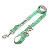 The Modern Dog Company - Pizza Party Leash - BIG FRENCHIES
