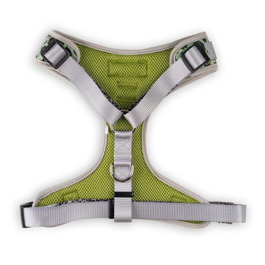 The Modern Dog Company - Walk on the Wild Side Harness - BIG FRENCHIES
